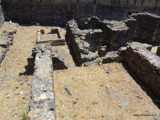 Balneum piazza Dante